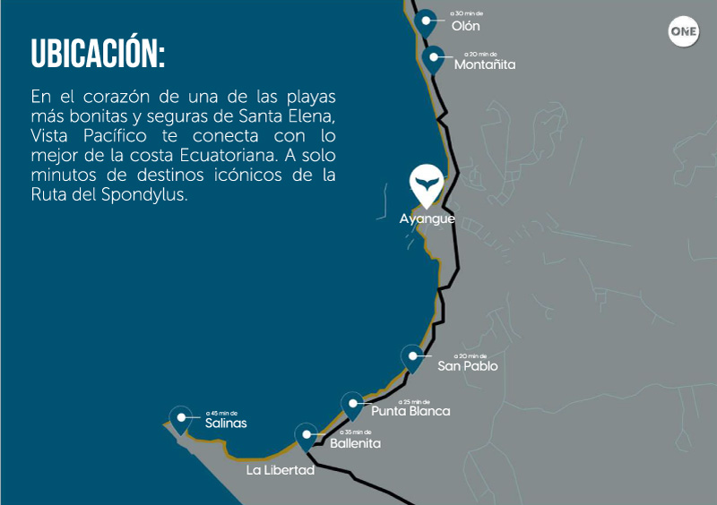 proyecto-Tortuga-Bay-galeria-4