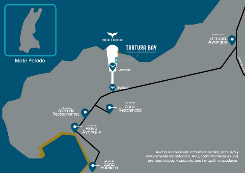proyecto-Tortuga-Bay-galeria-5